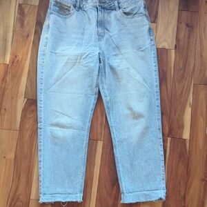 American Eagle Outfitters Light Wash Cropped Jeans